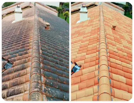 Nettoyage de toiture Chartres, Eure-et-Loir 28